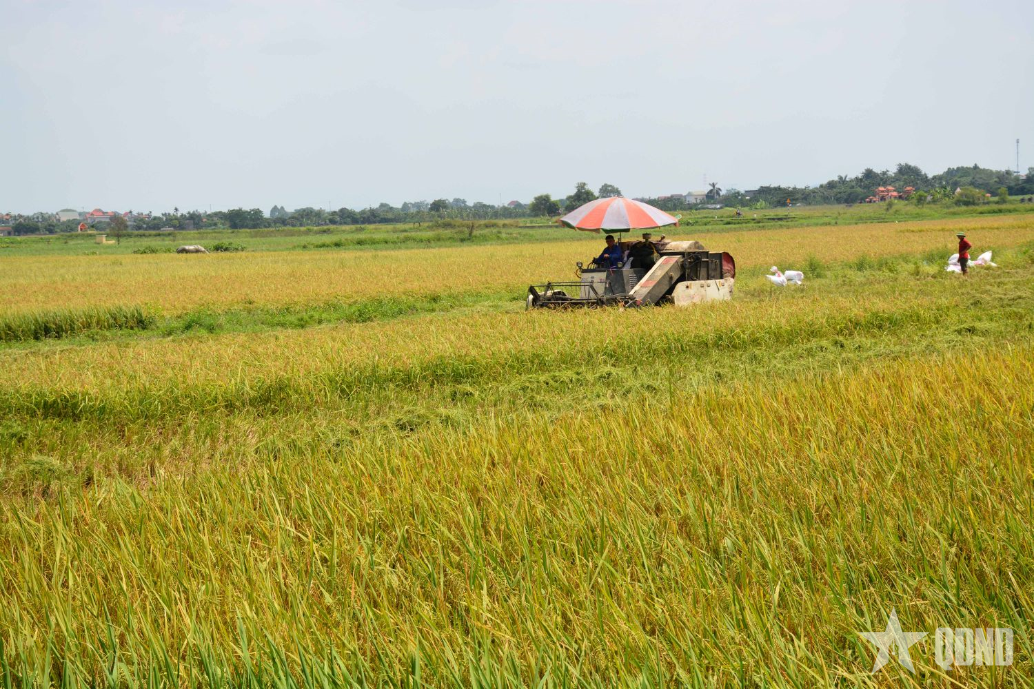 Giảm phát thải khí nhà kính trong nông nghiệp